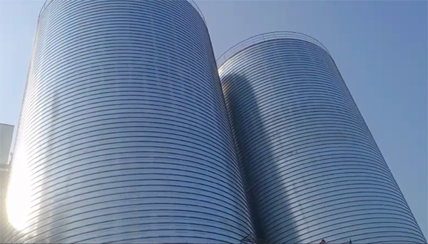 景谷2座混凝土高架卷板仓